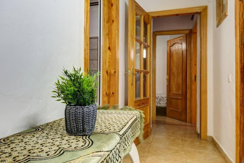 7 Pax Montserrat Ramblas Barcelona 巴塞罗那 外观 照片
